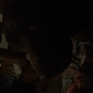 Meet your Posher, Keith